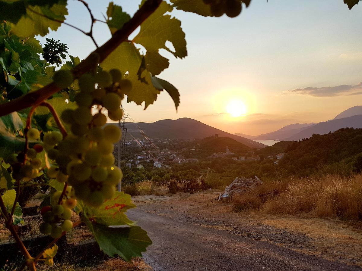 Villa Rolla Tivat Exteriér fotografie